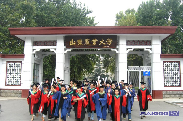 2020山东十五所名校排行榜 山东最好的十所大学 山东最出名的大学