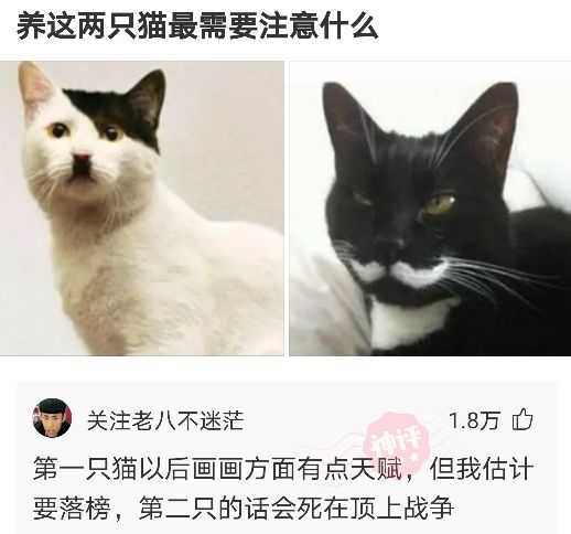 搞笑神评！这个藏头诗你能看出多少内涵