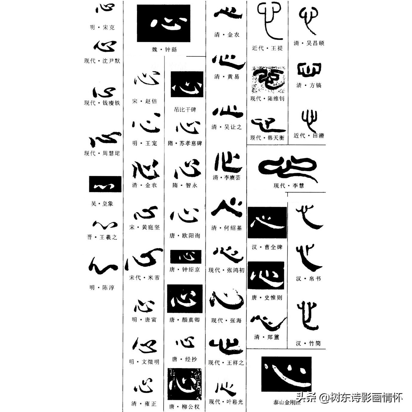 树东说文解字"心",讲述司马昭之心,路人皆知典故