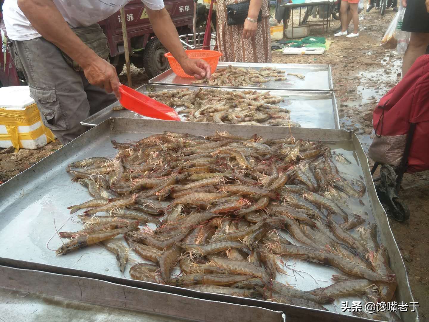 大虾保鲜：直接扔冰箱是错的，虾贩教你一招，冻一年仍鲜嫩有弹性