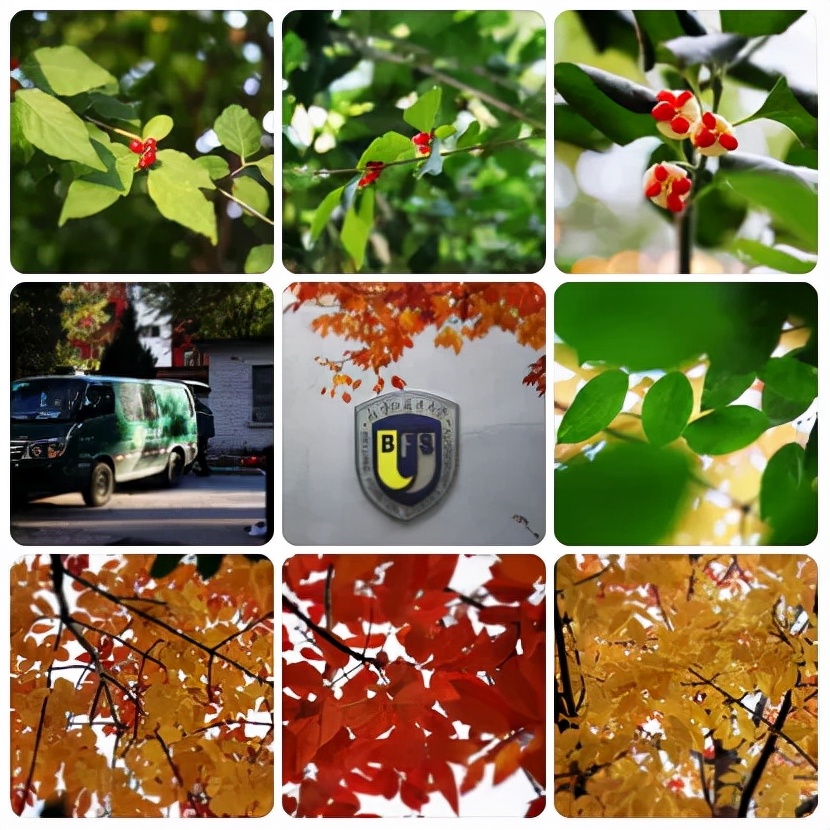 震撼！全国高校最美秋景大PK，哪所高校最最最惊艳？