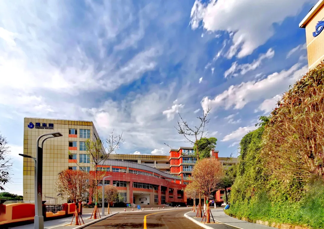 市外招收学生120人！绵阳外国语学校2020年高中招生公告出炉