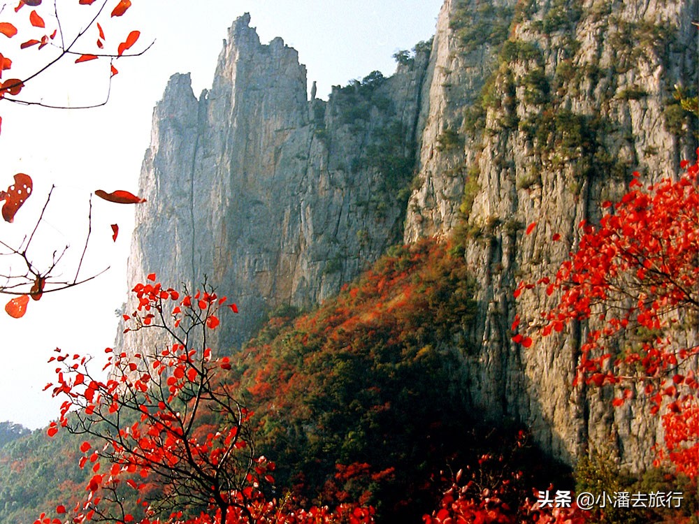 三峡旅游沿途景点介绍，不同的游轮包含哪些景点