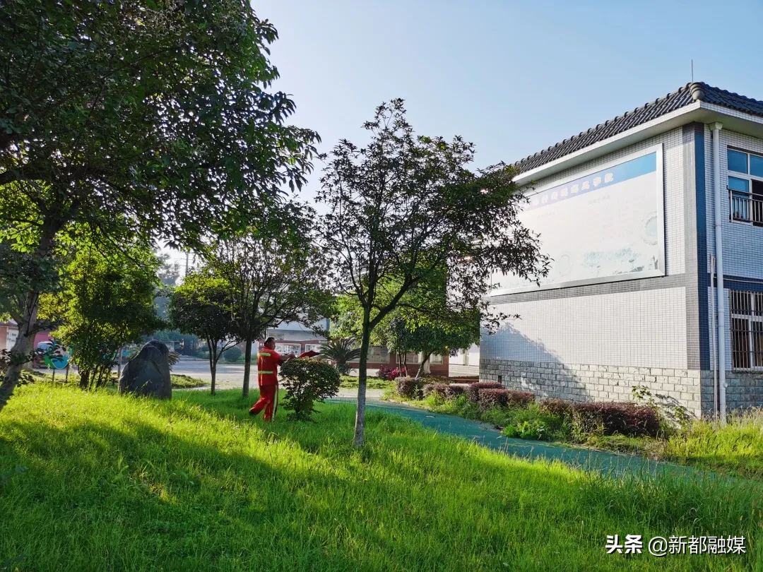 开学了，新都区47所学校风采展示