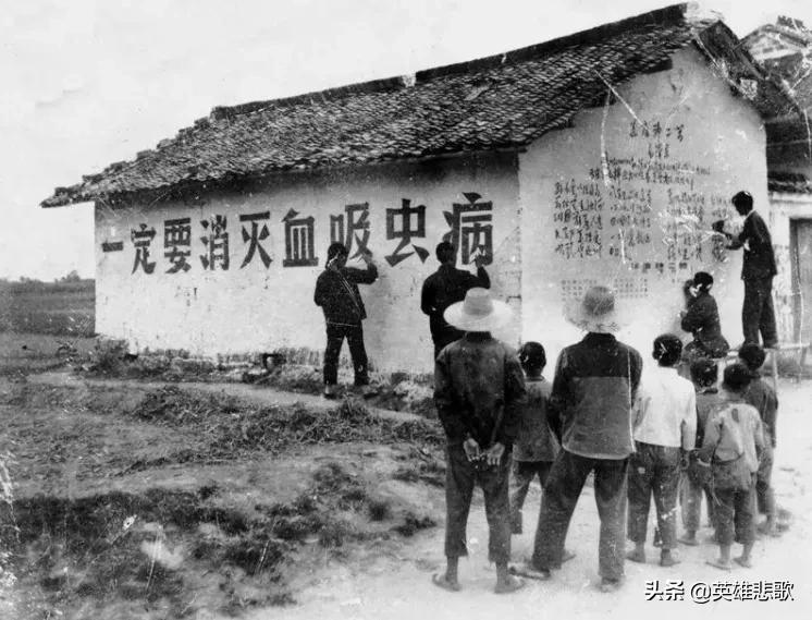 1950年“喹”字的正确读音及释义解析