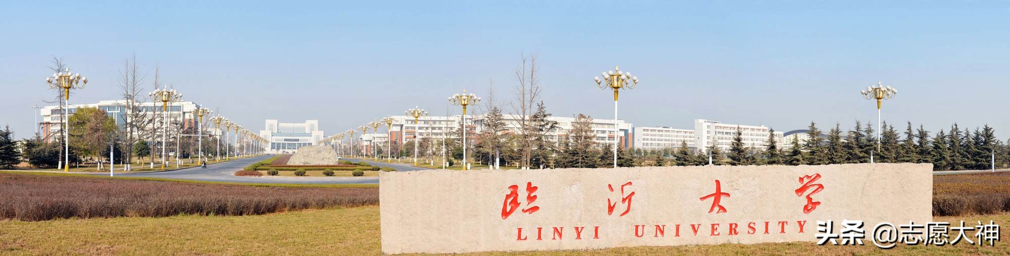 2020考生不得不收藏的临沂大学公费师范生数据（附详细地市分数）