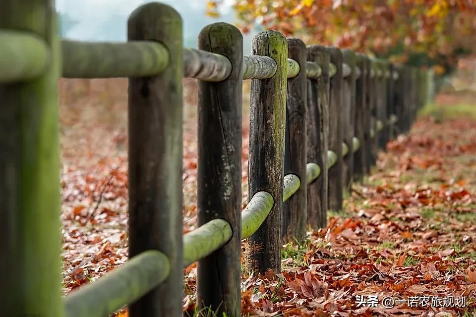 乡村旅游的“五风”资源