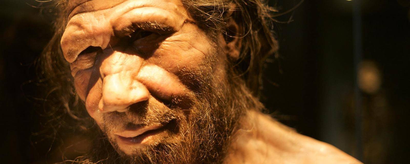 人属至少有17个人种,为什么只剩下智人,难道是有意安排?