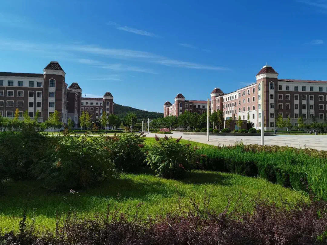 大连大学职业技术学院,大连大学职业技术学院是公办的吗-爱妻自媒体