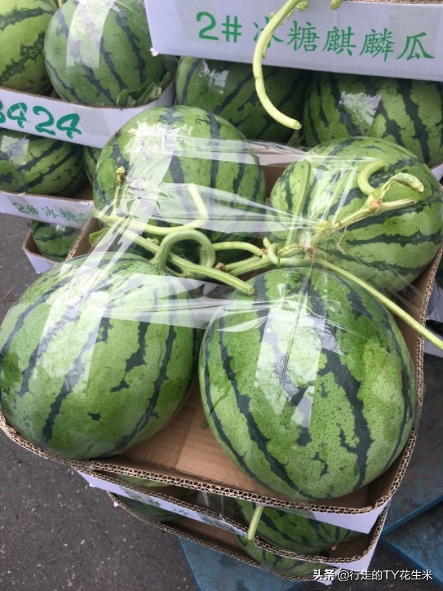 今日桥西蔬菜价格，今日郑州万邦蔬菜价格