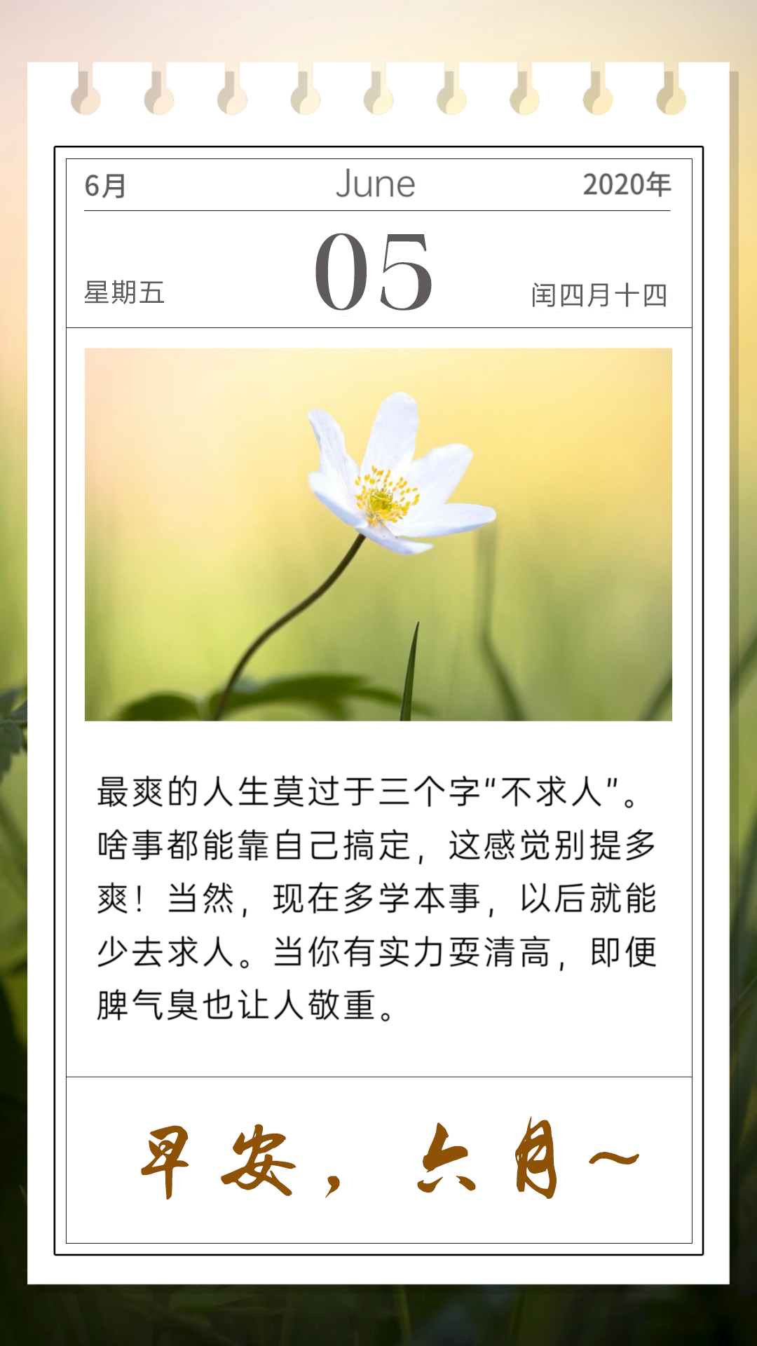 6月5日早安日签图片阳光励志说说：每一个人，都应该用努力去惊艳时光