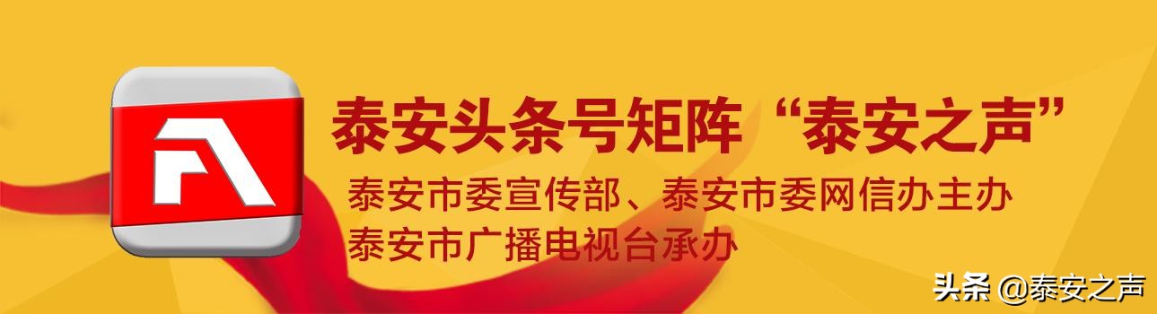 一位泰山挑山工的心灵独白：我对这段经历没齿难忘，给我留下了终生的印痕