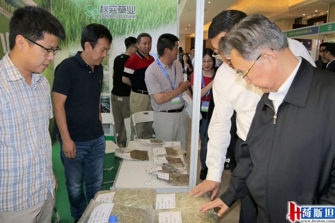 新機遇下苜蓿產(chǎn)業(yè)如何發(fā)展？第八屆2019中國苜蓿發(fā)展大會召開