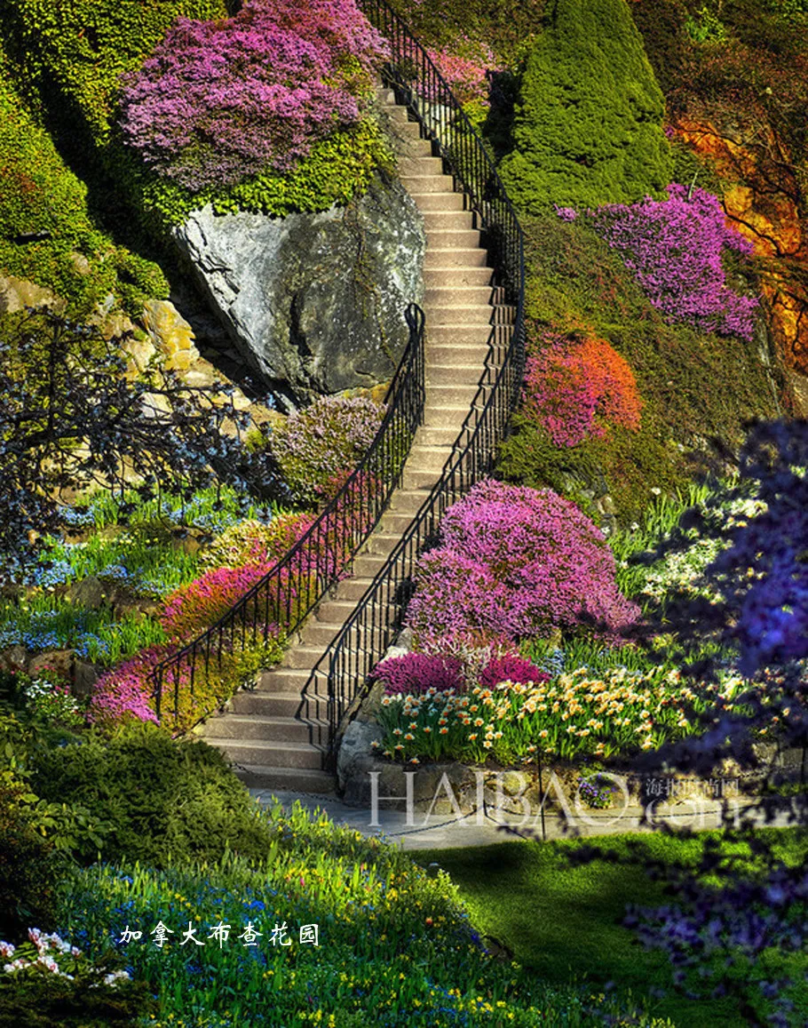 最美的风景图片大全鸟语花香人间仙境图片