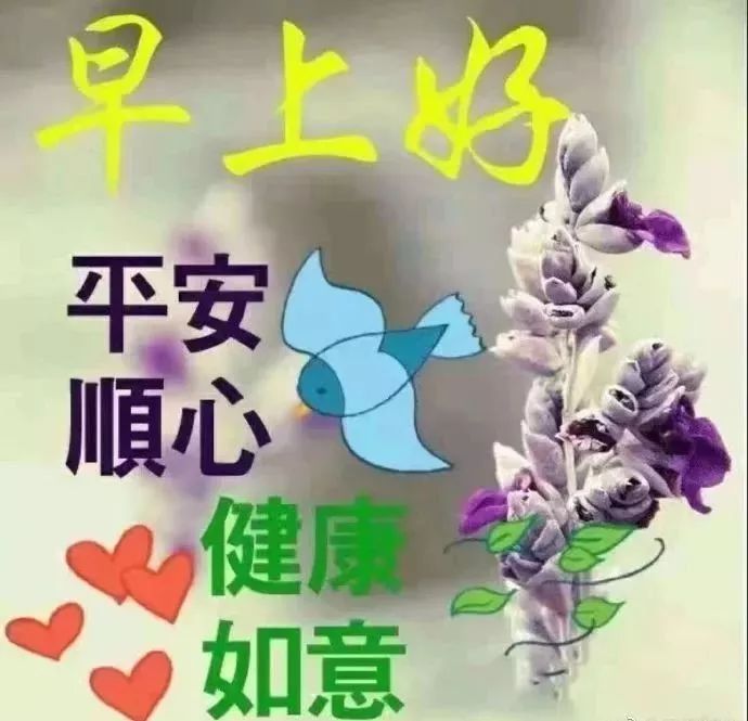 情话再妙，不如现实可靠；关系再好，不如真心有效，早安