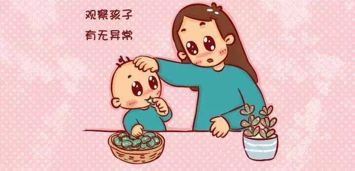 二,還能不能給寶寶吃蠶豆了?