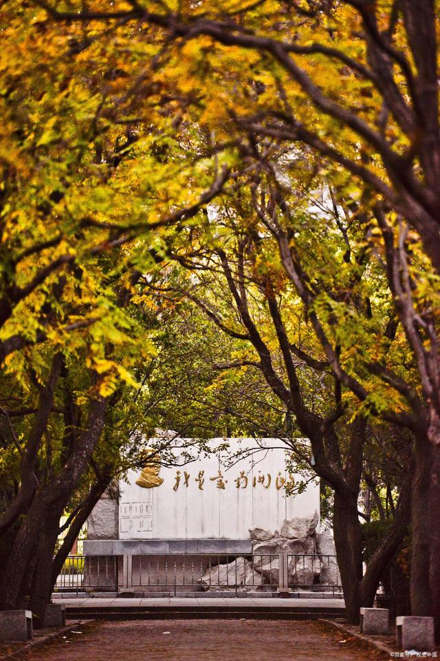 南开大学真的不如以往了？院校解析一文了解