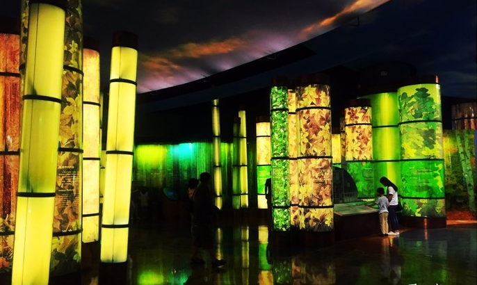 国内这4个地方最适合大学生穷游，好玩还不贵