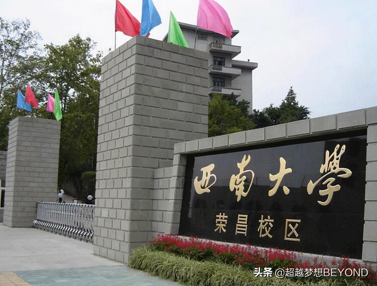 西南大学荣昌校区2020年全国各省份录取分数统计（含位次）