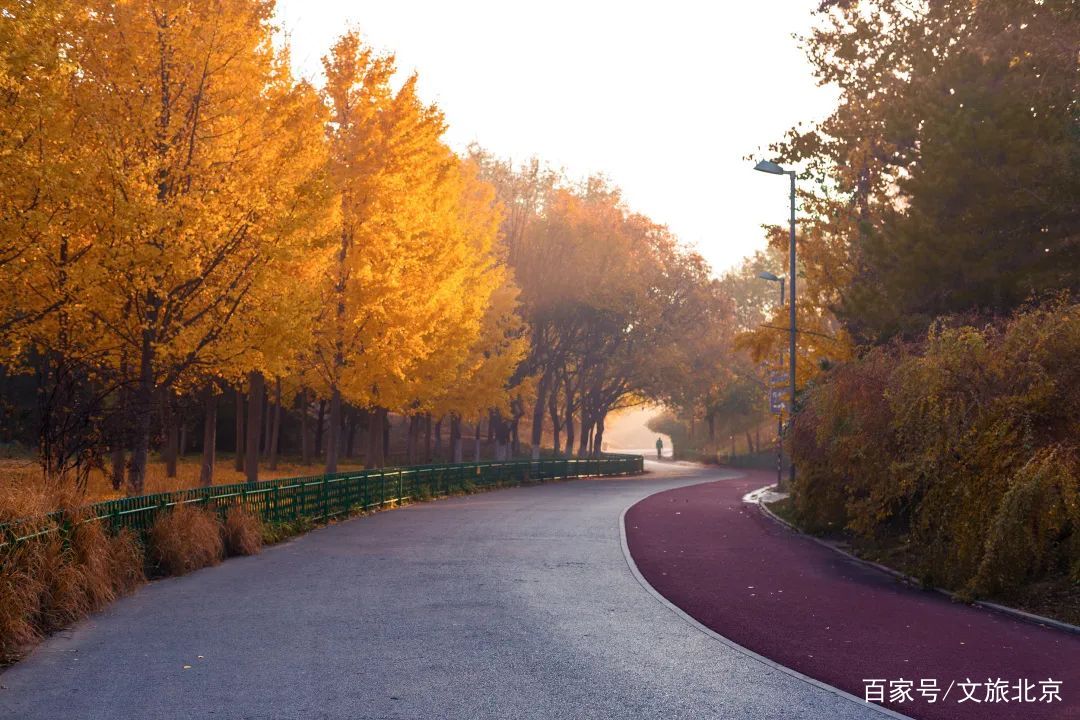 北京这20个景区“红”了！快收藏这份打卡指南