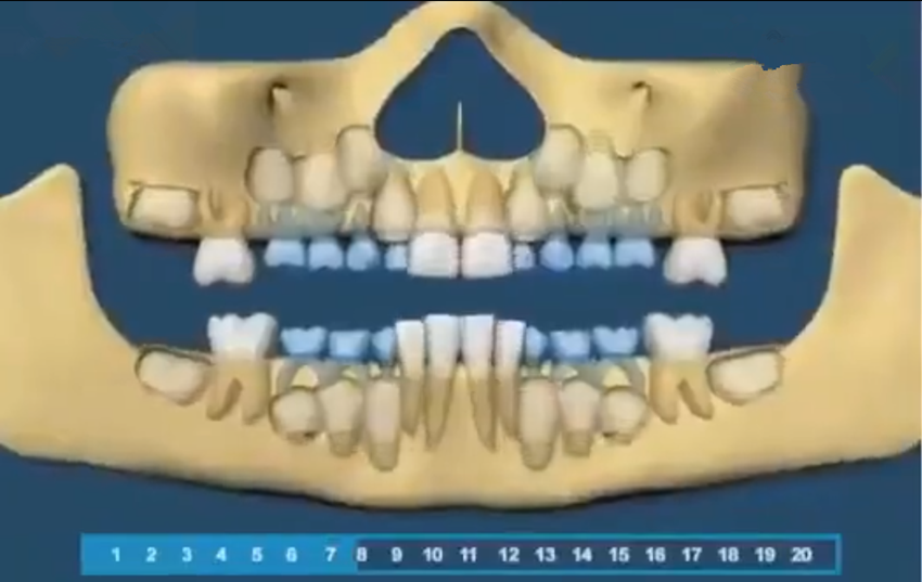 组图带你了解宝宝的牙齿生长顺序，一目了然，父母再也不用纠结了