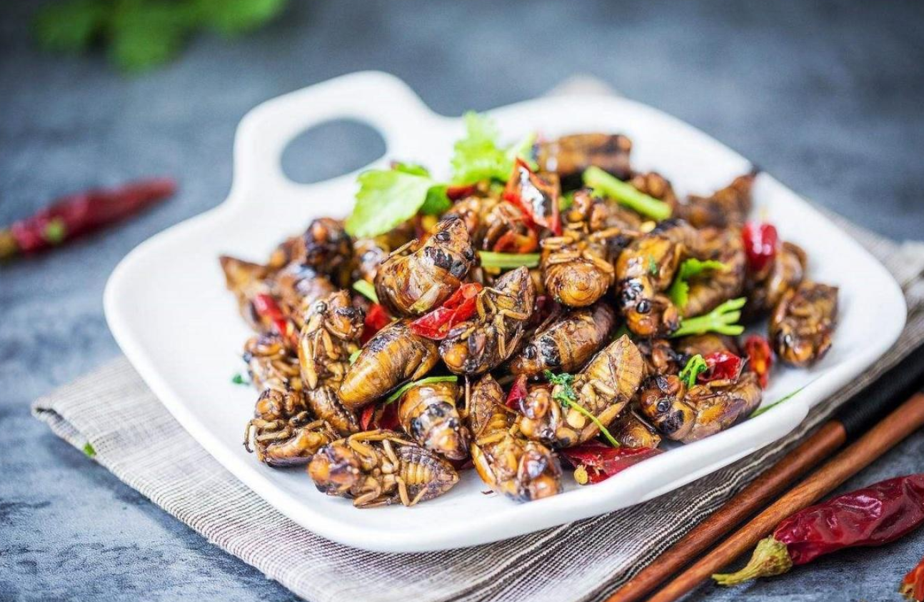 17年蝉将蔓延到美国15个州,如果在中国,会怎样?