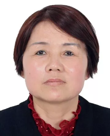 失信人查询名单,