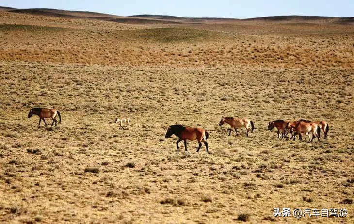 这8处金秋自驾游线路，总有一款适合你（附线路地图）