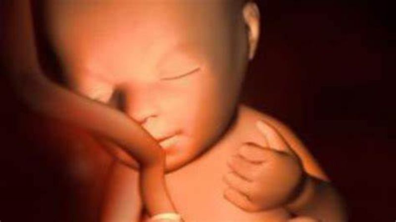 辟谣：热到要融化，孕妈能吃冰激凌吗？看看产科专家怎么说？