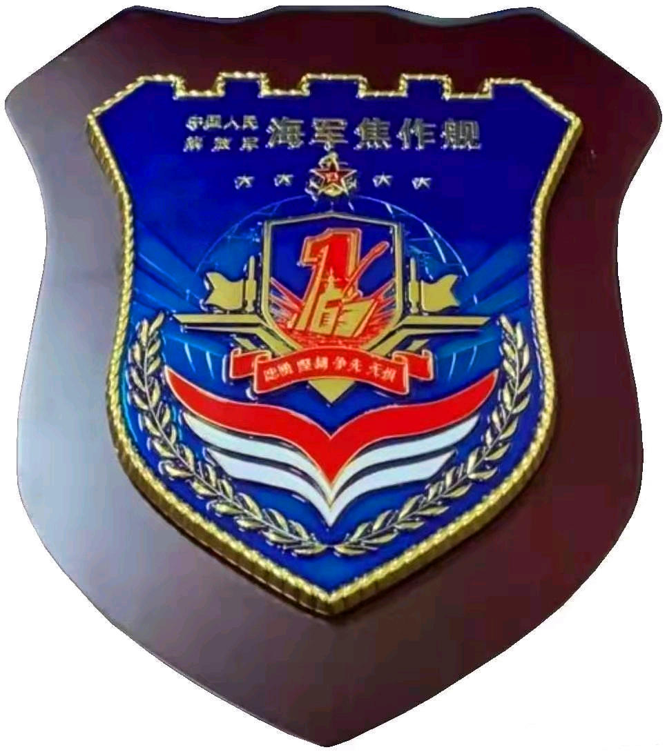 舰,于20192008年正式下水,目前处于最后的海试阶段,并且已经有了舰徽