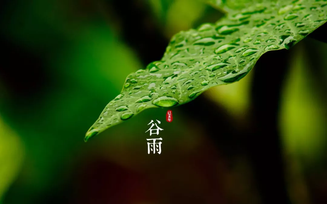 谷雨 | 阅尽春色，送别春天