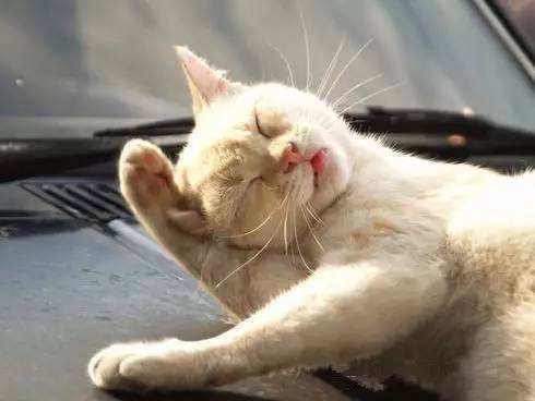 十二星座的绝世武功—天秤座