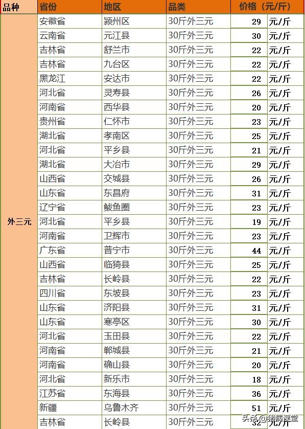 仔豬價格｜7月28日仔豬全國各地最新價格行情數據