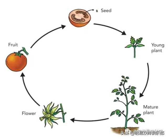 时间的周期规律：万物阴阳与四相的变化