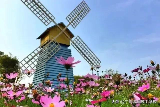 城建攻略 | @城建小萌新，这些地方你都打卡了吗？