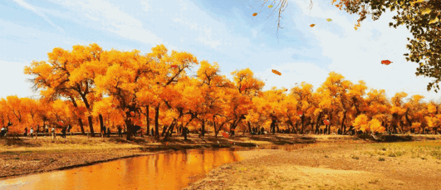 细数带有“秋”字的104句古诗词，为孩子备着