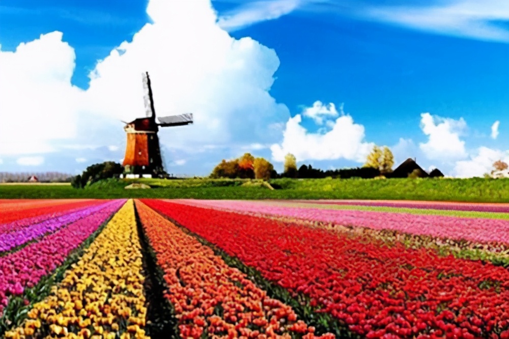 1940荷兰人口（你不知道的国家冷知识（荷兰篇））