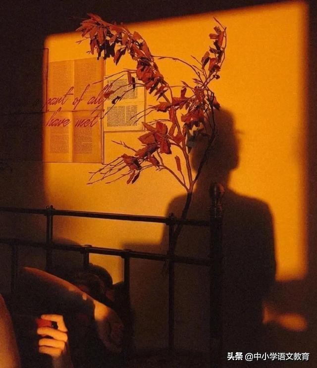 人教版七年级语文：9篇课外阅读理解题，附答案！转给孩子