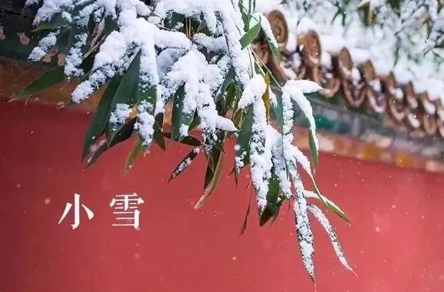 小雪节气祝福语唯美句子独特精选（含图片）