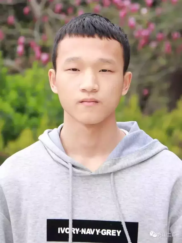 信阳考生豪取河南文科状元，部分高中高考喜报来了