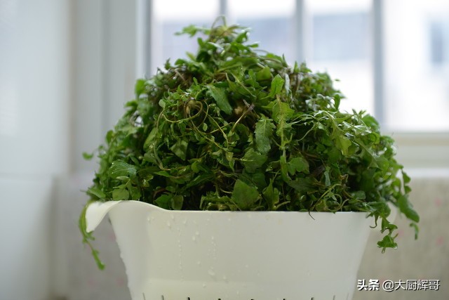 东北蒲公英（清明过后春季6种野菜莫错过）