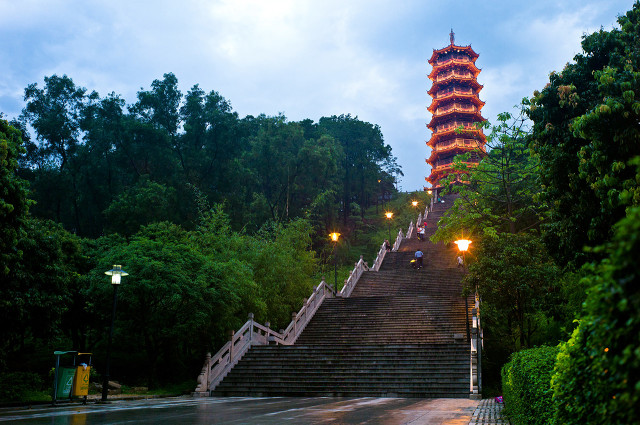 不要错过，深圳十大适合小朋友的免费又好玩的地方