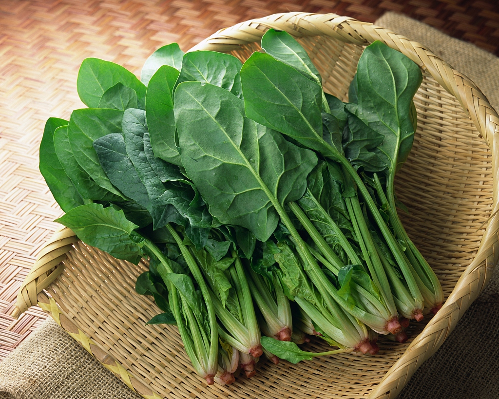 ԳԻƹshengģʹkeԳƹ-Ʒ