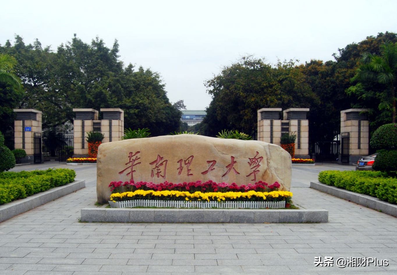 985高校副教授兼职2年收入24万，如今须连带赔偿1.23亿