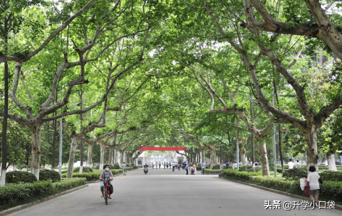 高考437分，却被“C9”高校录取，网友：学渣的“逆袭”