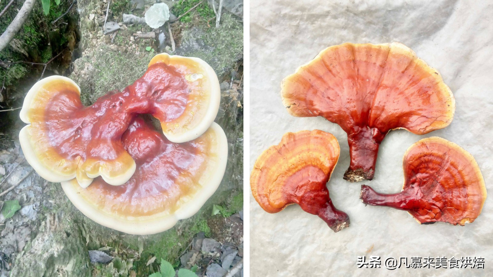 “中国网红土特产20强”引起争议，看看有你家乡的吗？都有哪些