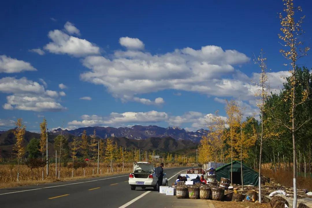 赏秋时节 | 打卡京郊这10条乡村公路，藏着北京最美的秋天