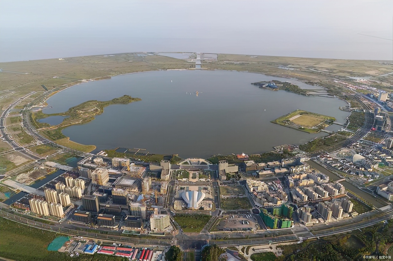 临港新片区大学或将问世，五所高校参与合并，学生留言提出建议