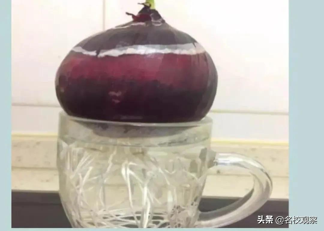 全国天立学校在行动！家校并肩师生携手，筑牢校园防疫阵线