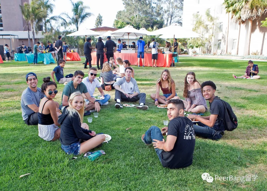 美国前30里，哪所大学不仅录取友好、强势学科还齐全？